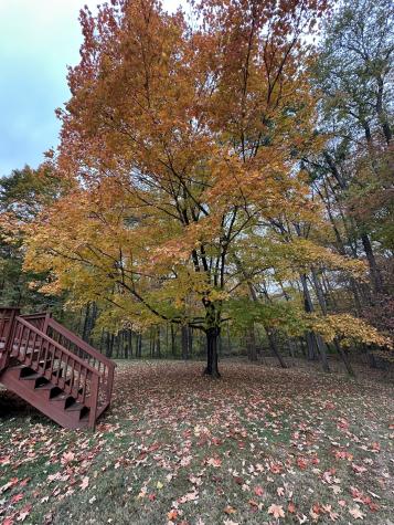 2 Croydon Drive Bloomfield CT 06002