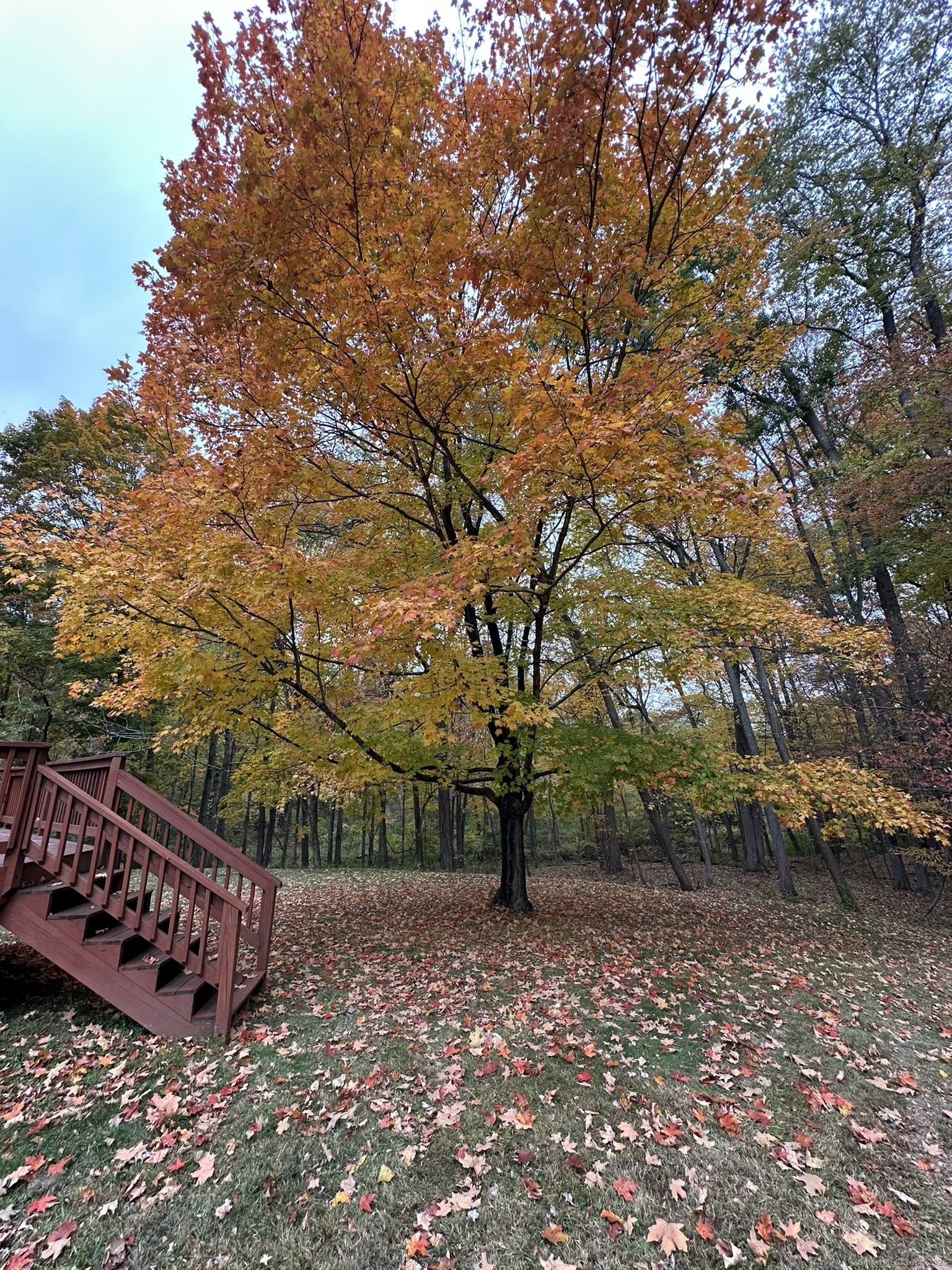 2 Croydon Drive Bloomfield CT 06002