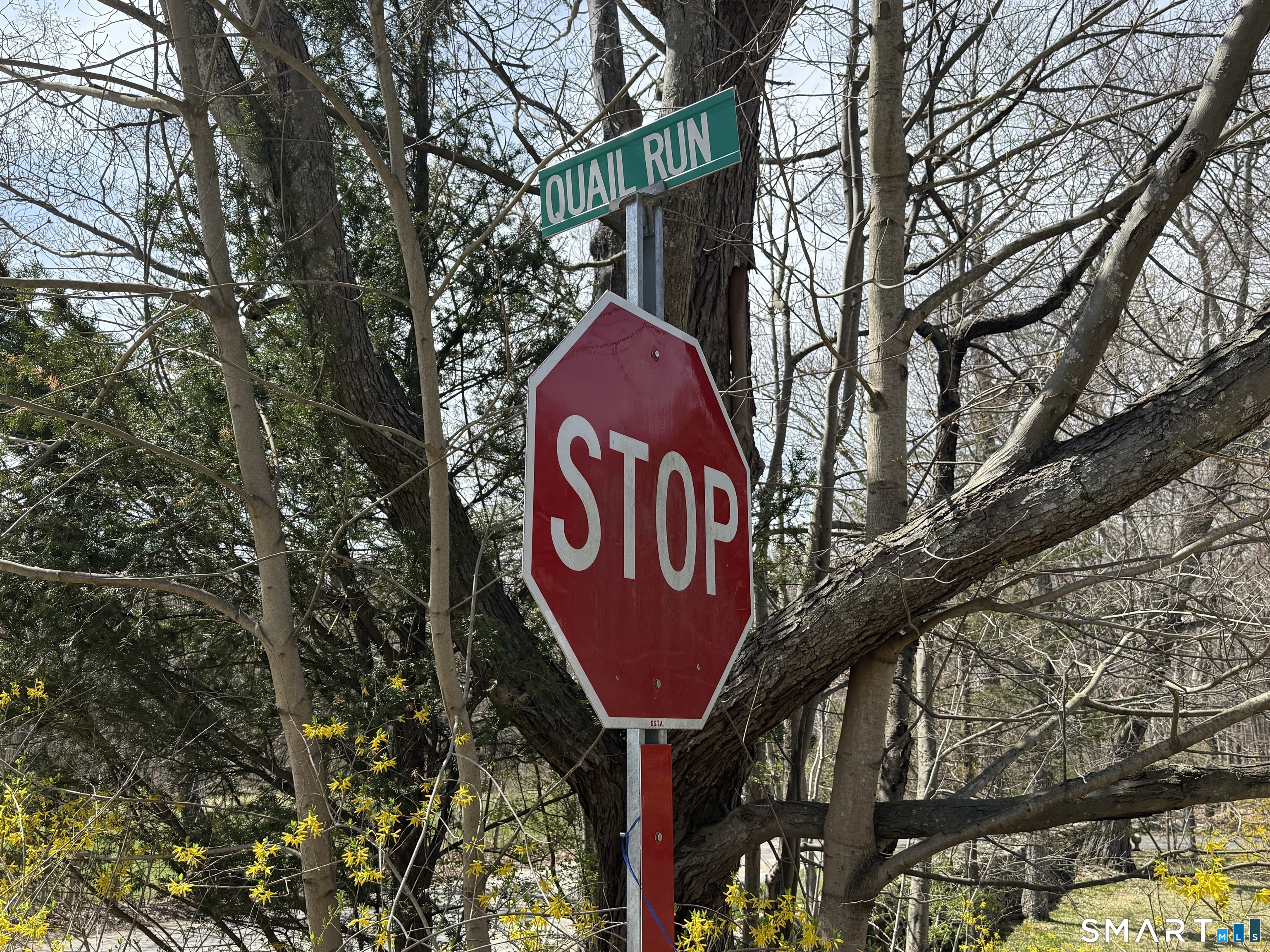 96 Quail Run Road Woodbury CT 06798