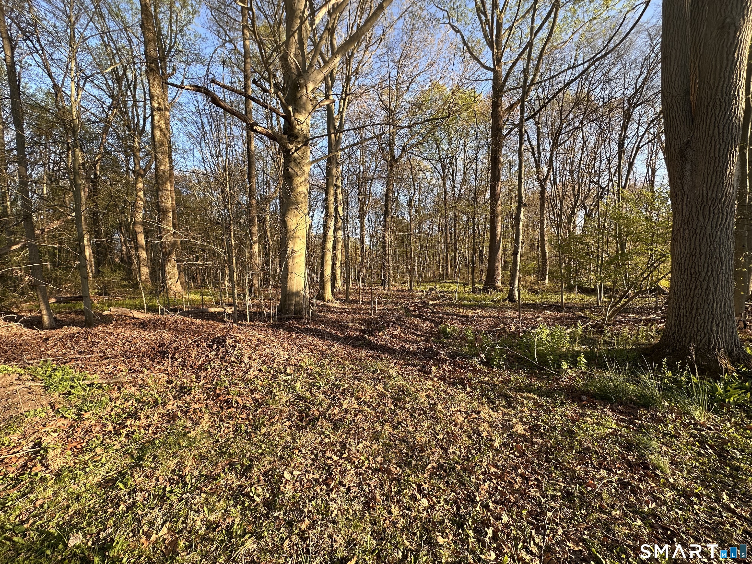 438 Old Country Road Orange CT 06477