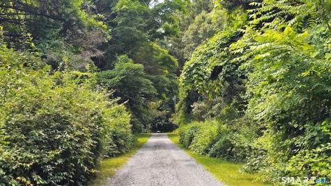 40 Oleson Drive Southbury CT 06488