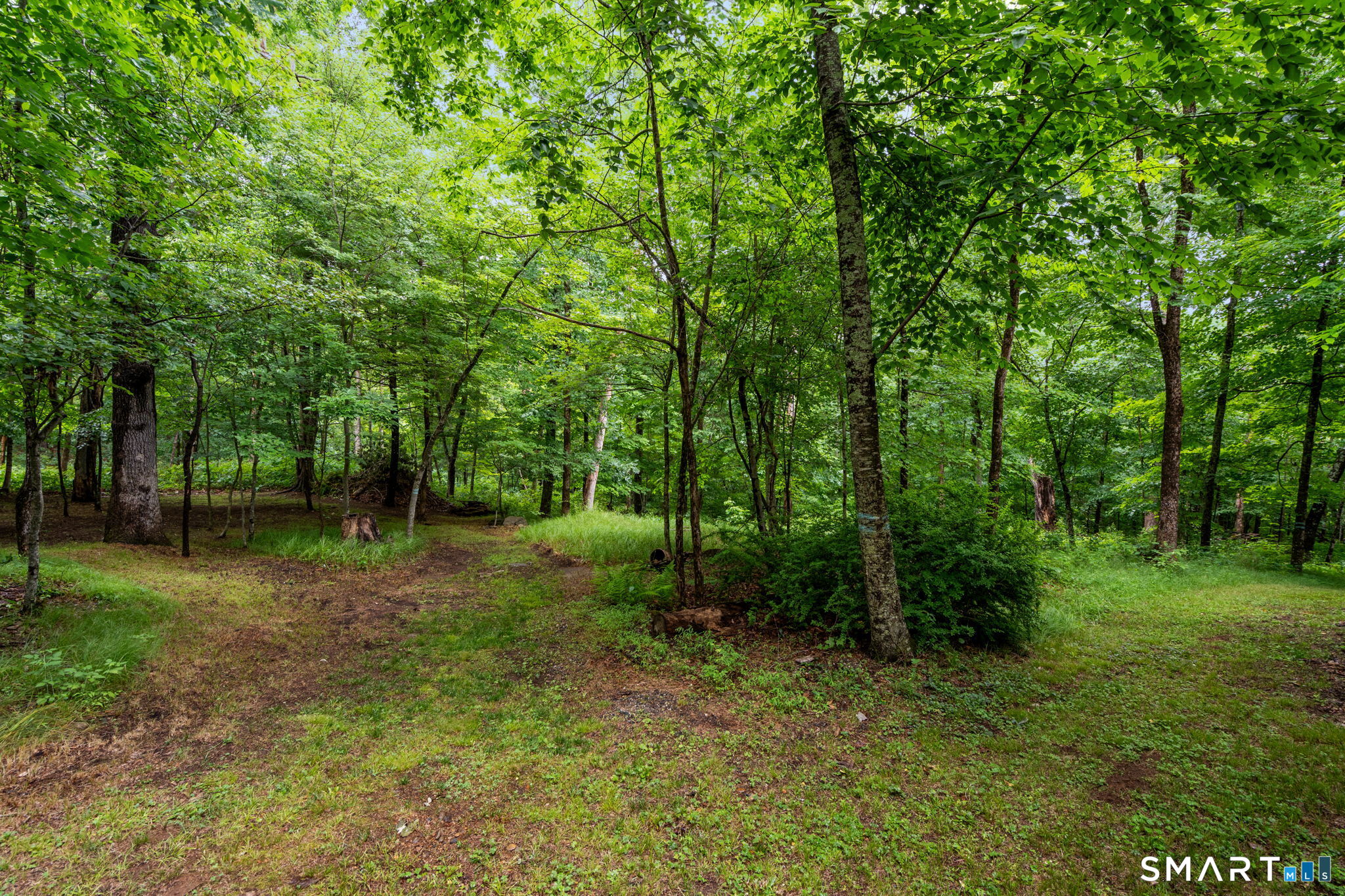 60 Olsen Drive Mansfield CT 06250