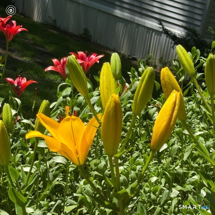 17 Evergreen Park Clinton CT 06413