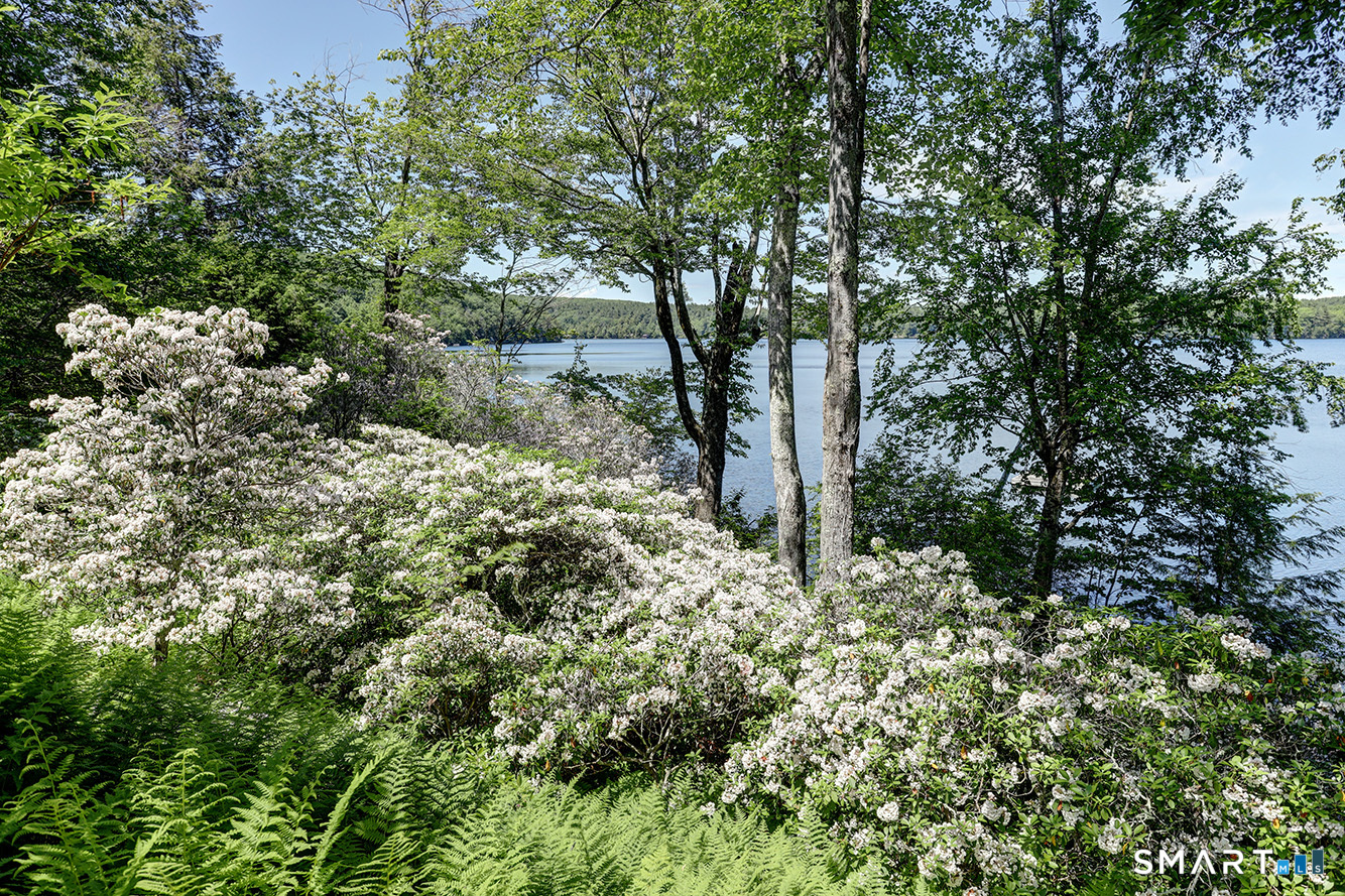Norfolk CT 06058