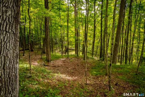 196 Mudge Pond Road Sharon CT 06069