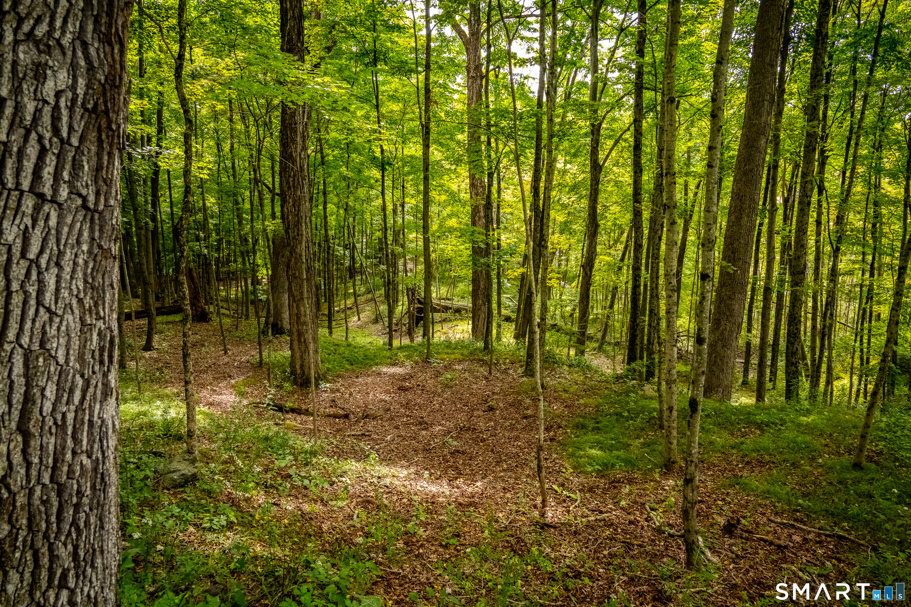 196 Mudge Pond Road Sharon CT 06069