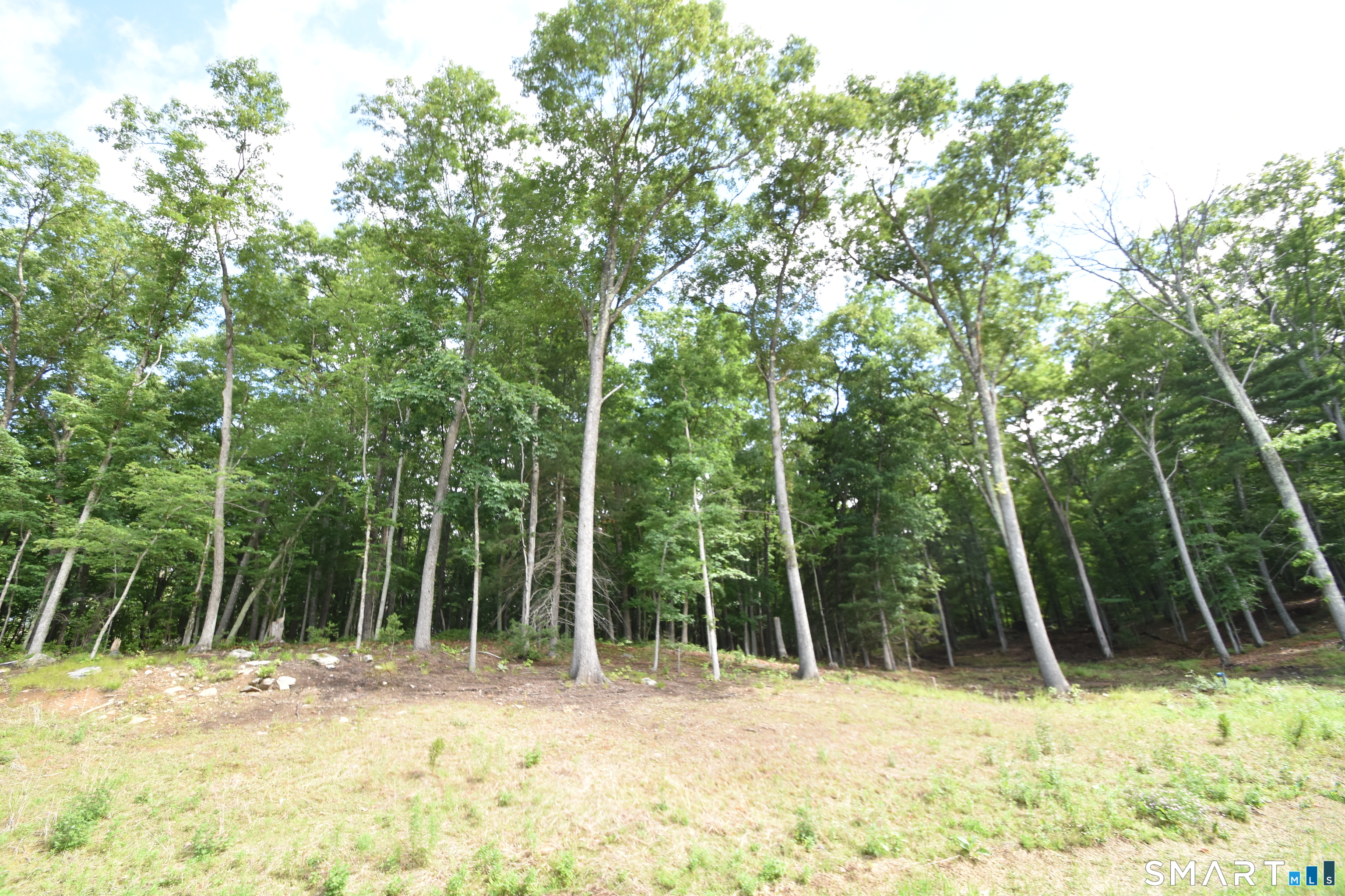 166 Boston Turnpike Bolton CT 06043