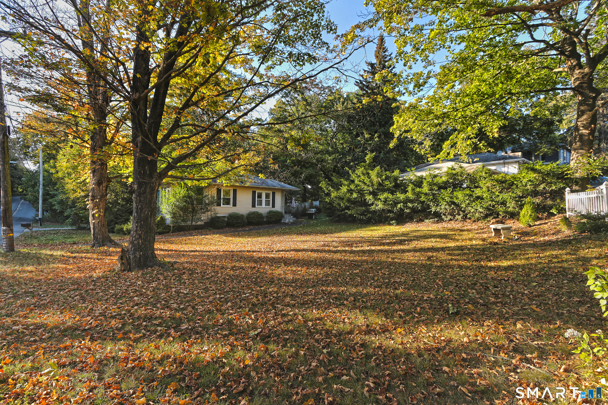 35 Forest Street Hamden CT 06518