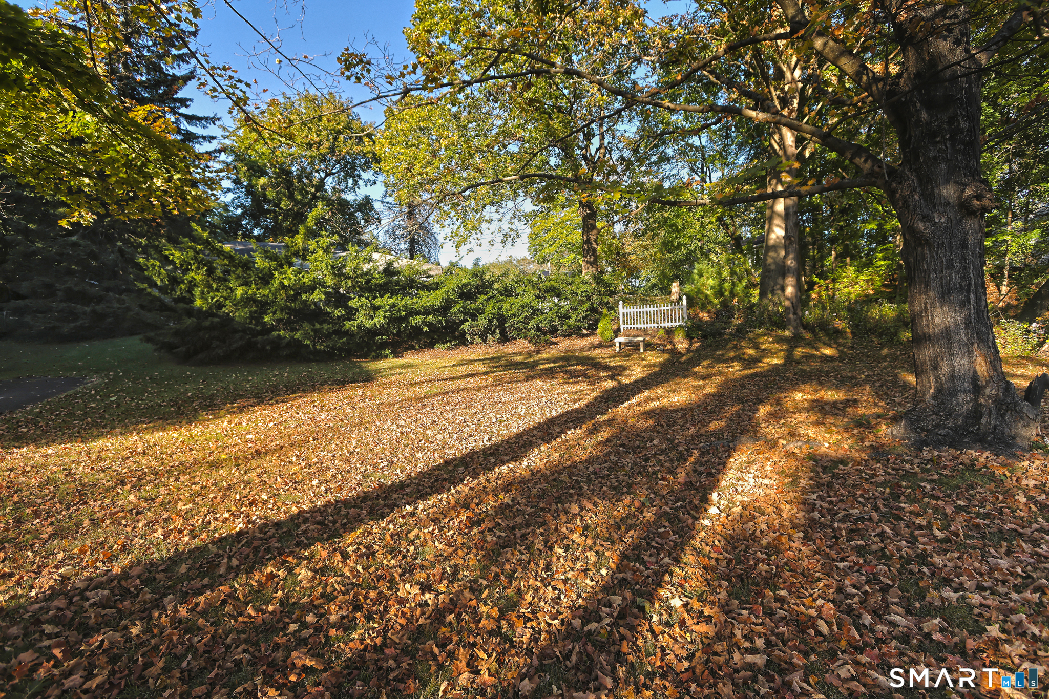 35 Forest Street Hamden CT 06518