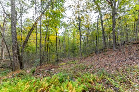 38 West Mountain Lane Roxbury CT 06783