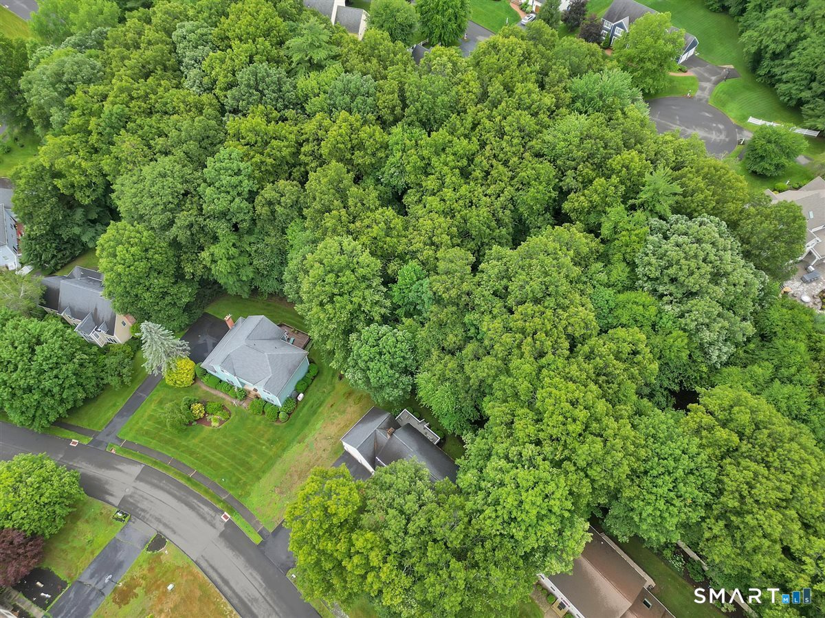 11 Dunne Wood Court Farmington CT 06085