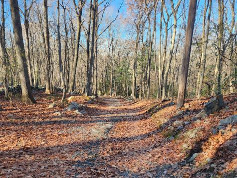 11 Judges Hollow Road Fairfield CT 06824