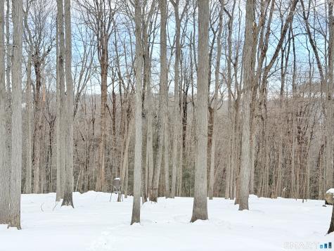 56 Reservoir Road Goshen CT 06756