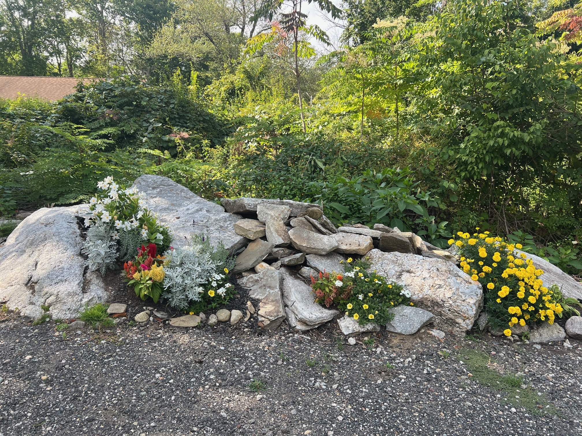 39 Wood Trail Coventry CT 06238