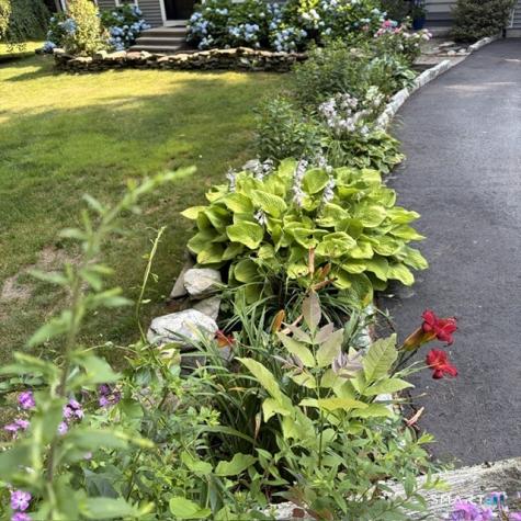99 Fox Ridge Drive Colchester CT 06415