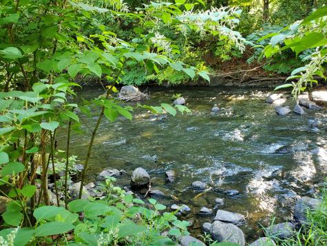 28 Trumbull Street Litchfield CT 06750