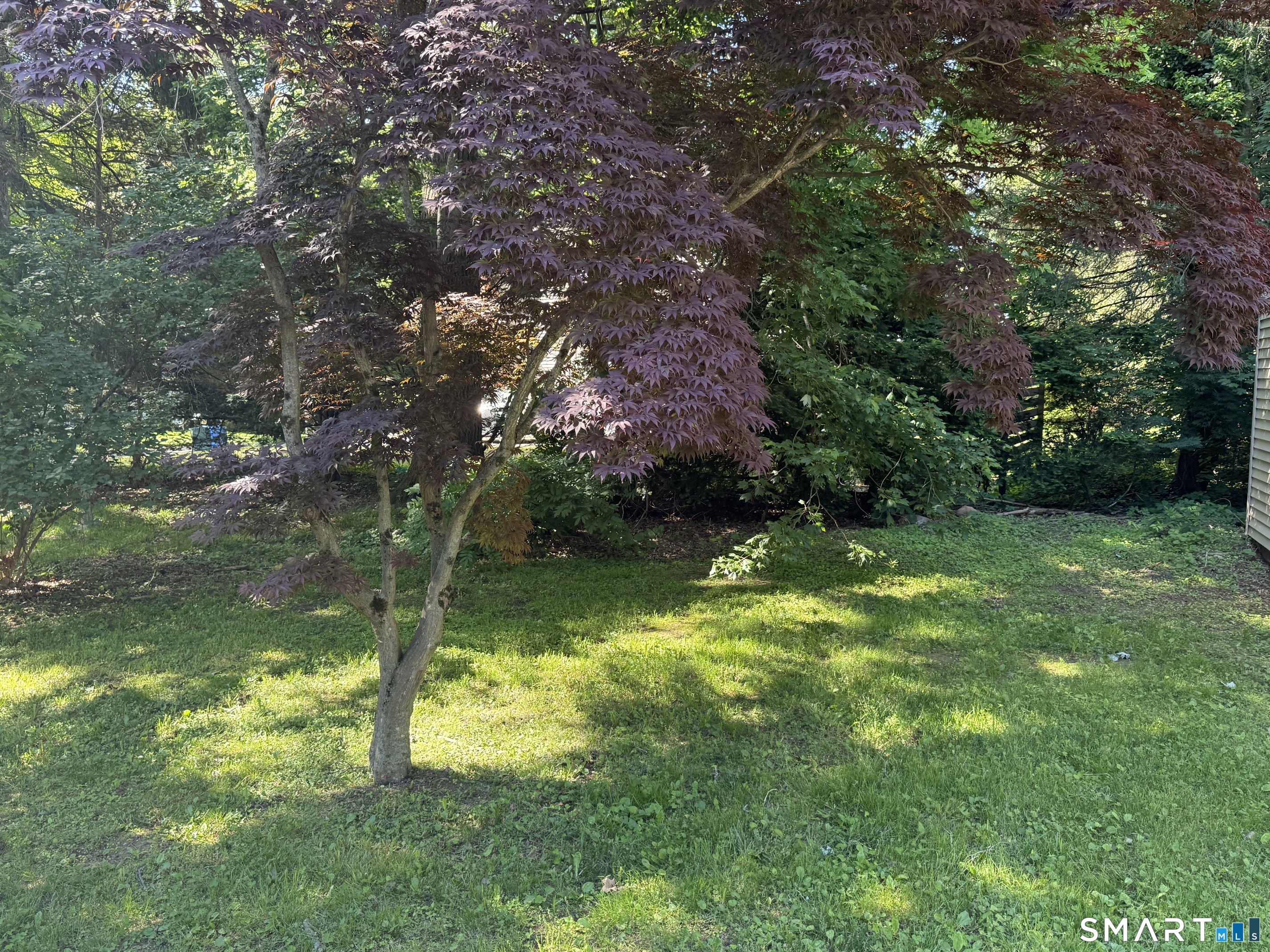 134 Forest Street Hamden CT 06518