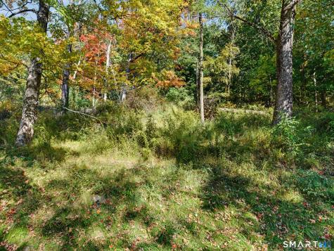 308 State Route 39 New Fairfield CT 06812