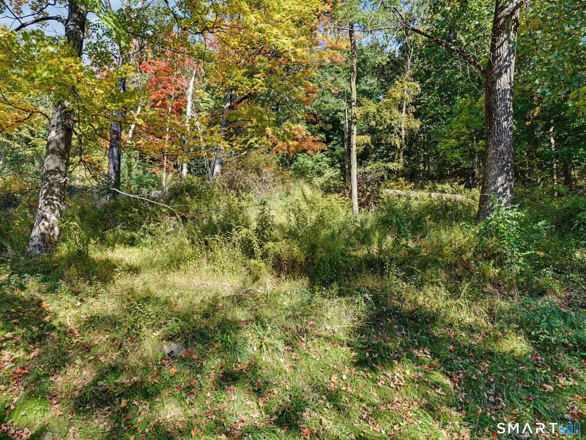308 State Route 39 New Fairfield CT 06812