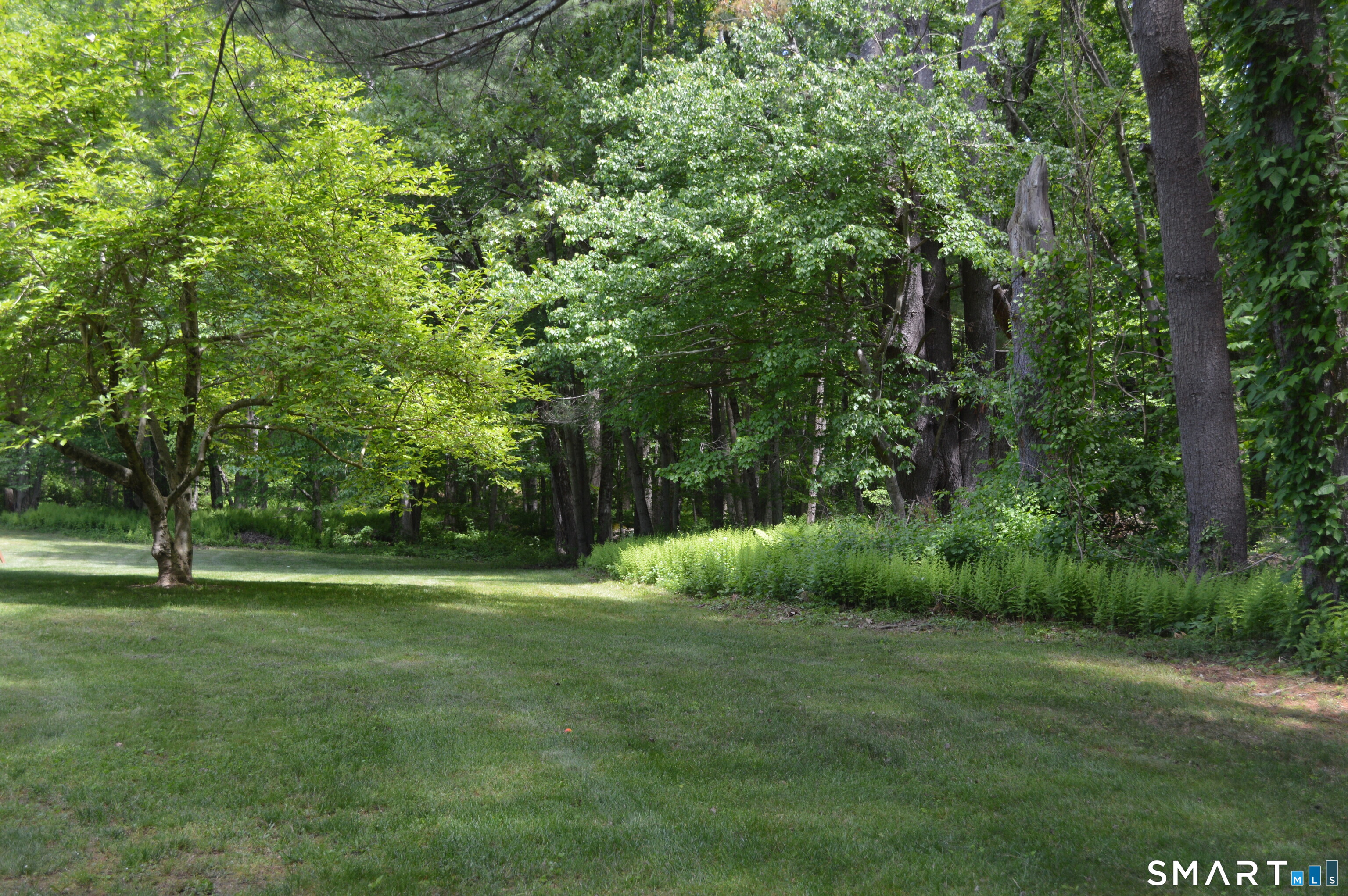 570 Buff Cap Road Tolland CT 06084
