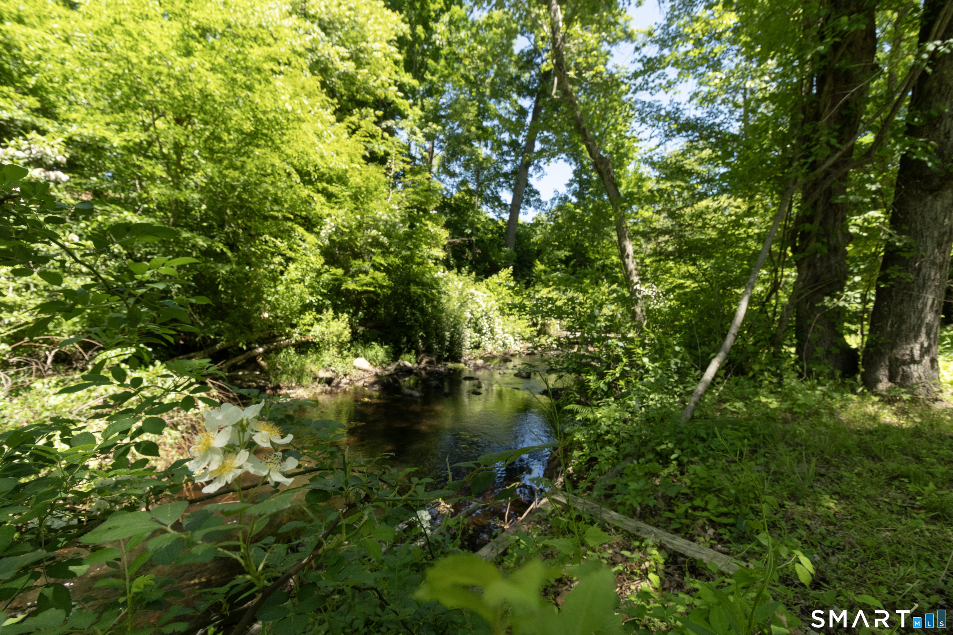254 Park Road Haddam CT 06438