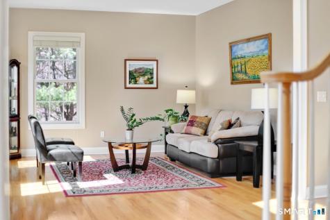 1 Bramble Trail Newtown CT 06470