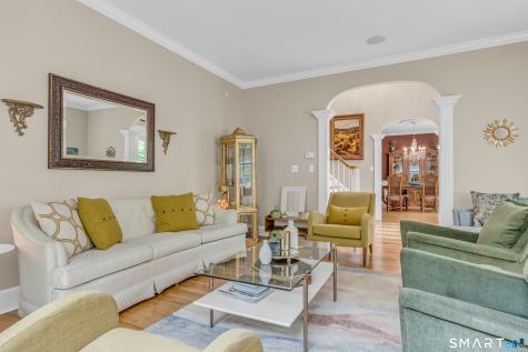 10 Arthurs Court Newtown CT 06470