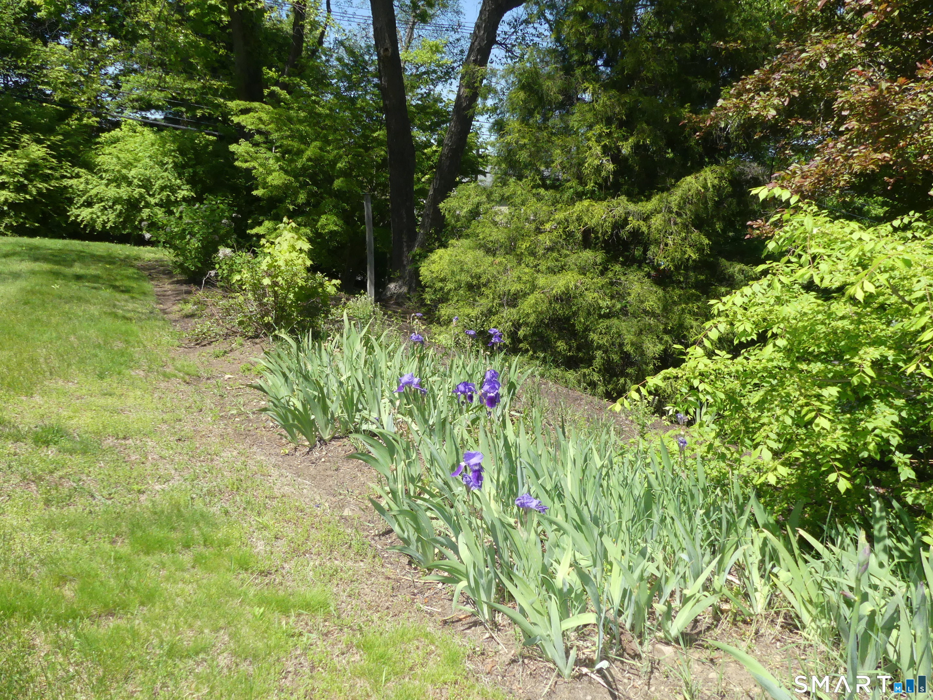 30 Boulevard Newtown CT 06470