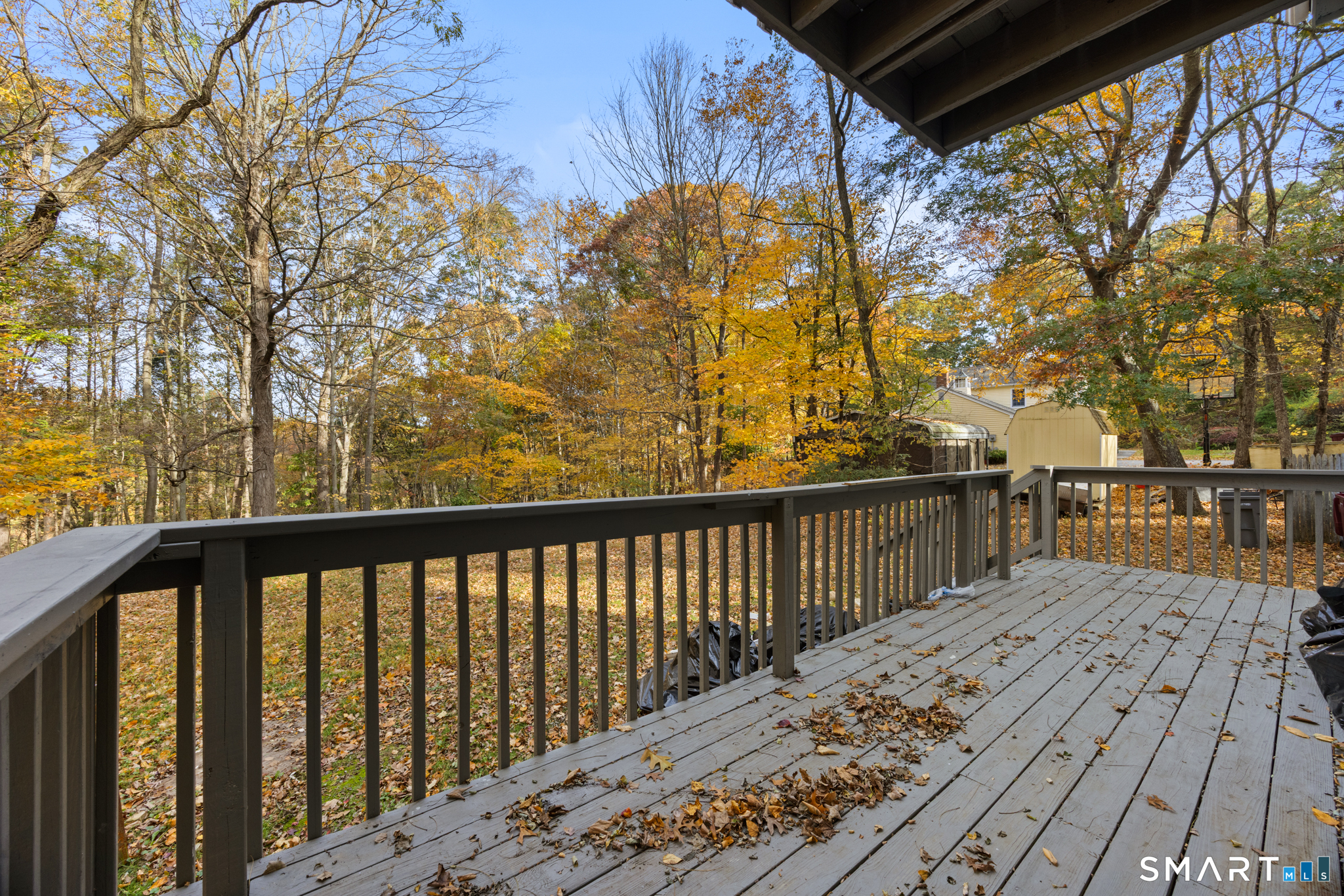 310 Wooster Street Naugatuck CT 06770