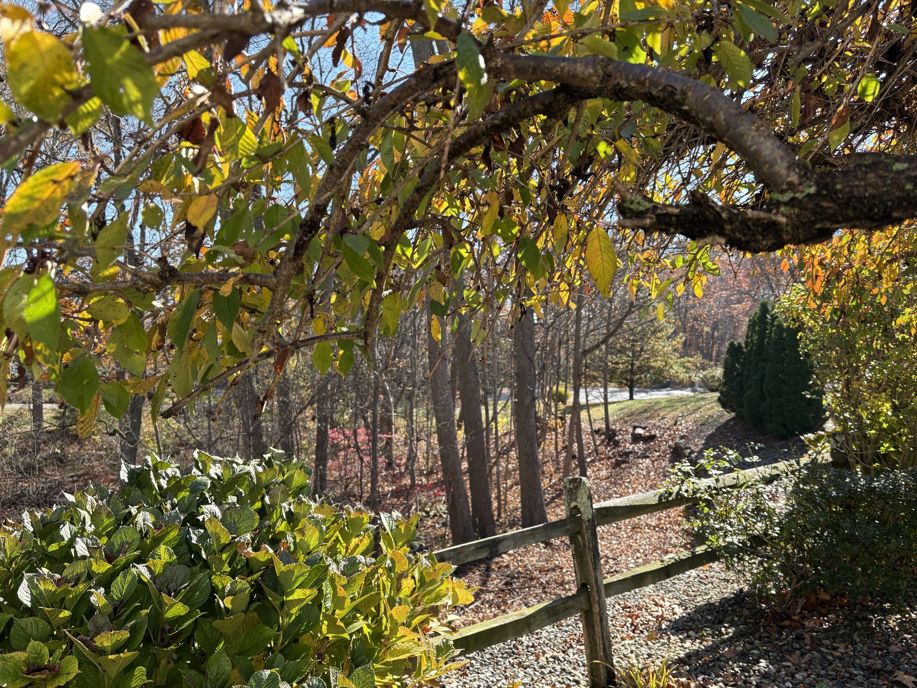 9 Bonny Lane Clinton CT 06413