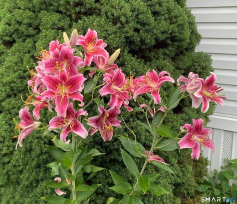 18 Quail Road Colchester CT 06415