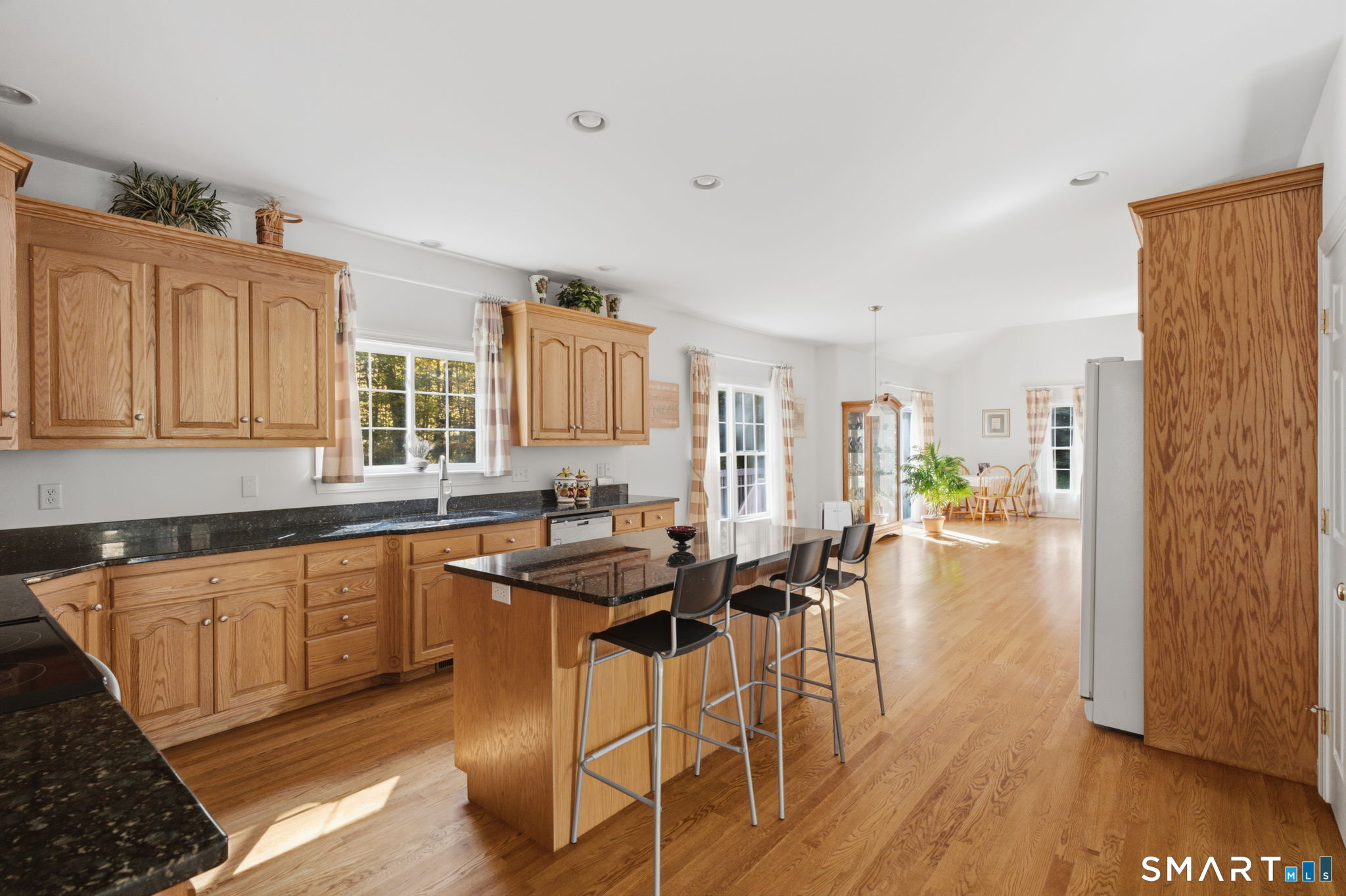 36 Woodbine Lane Newtown CT 06482