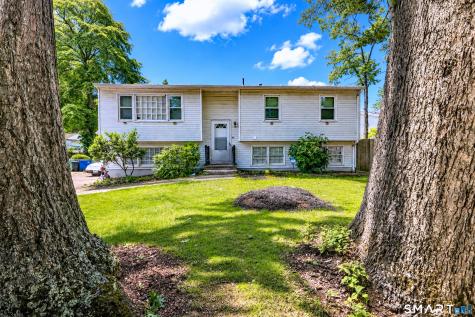 43 Taylor Avenue New Haven CT 06515