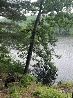 180 Lake Drive Bethlehem CT 06751
