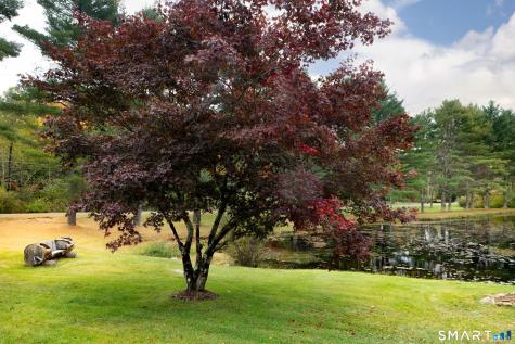 363 Colebrook Road Colebrook CT 06021