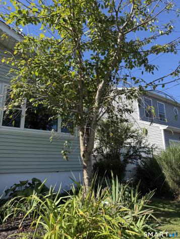 20 Summit Avenue Shelton CT 06484