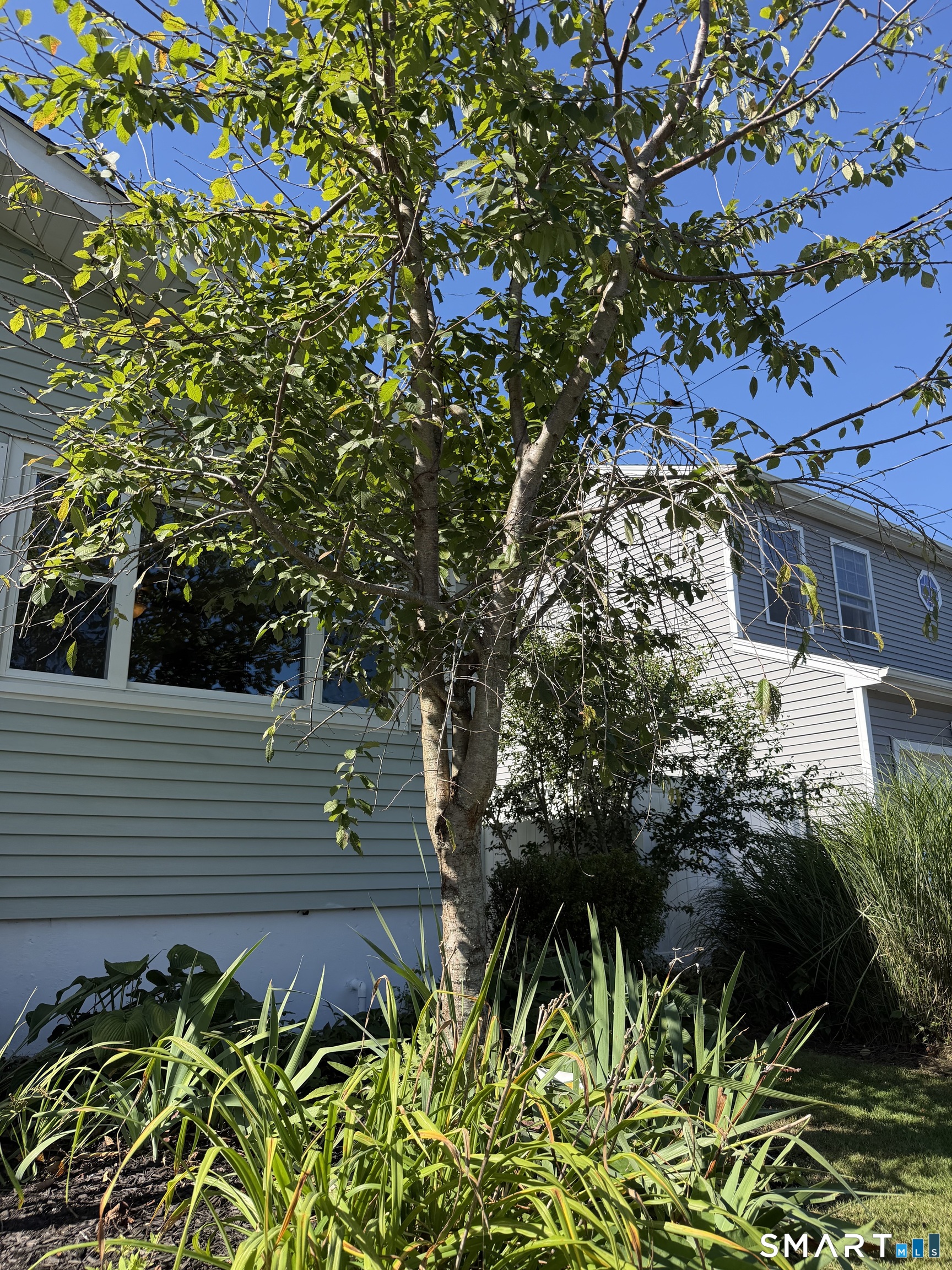 20 Summit Avenue Shelton CT 06484