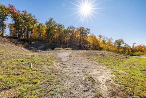 61 Weatherstone Avon CT 06001