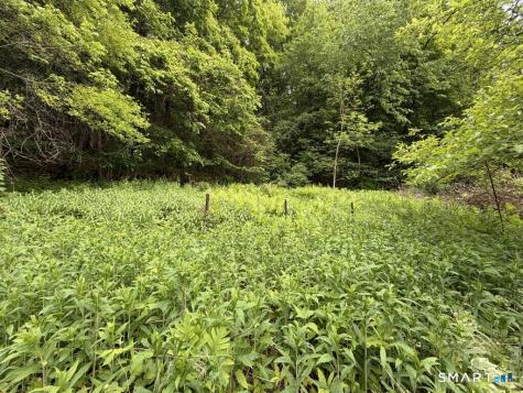 48 Lower River Road Cornwall CT 06796
