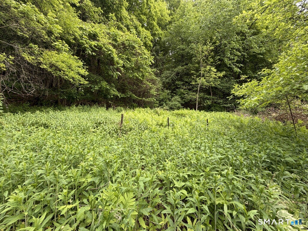 48 Lower River Road Cornwall CT 06796