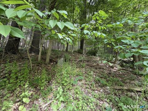 48 Lower River Road Cornwall CT 06796