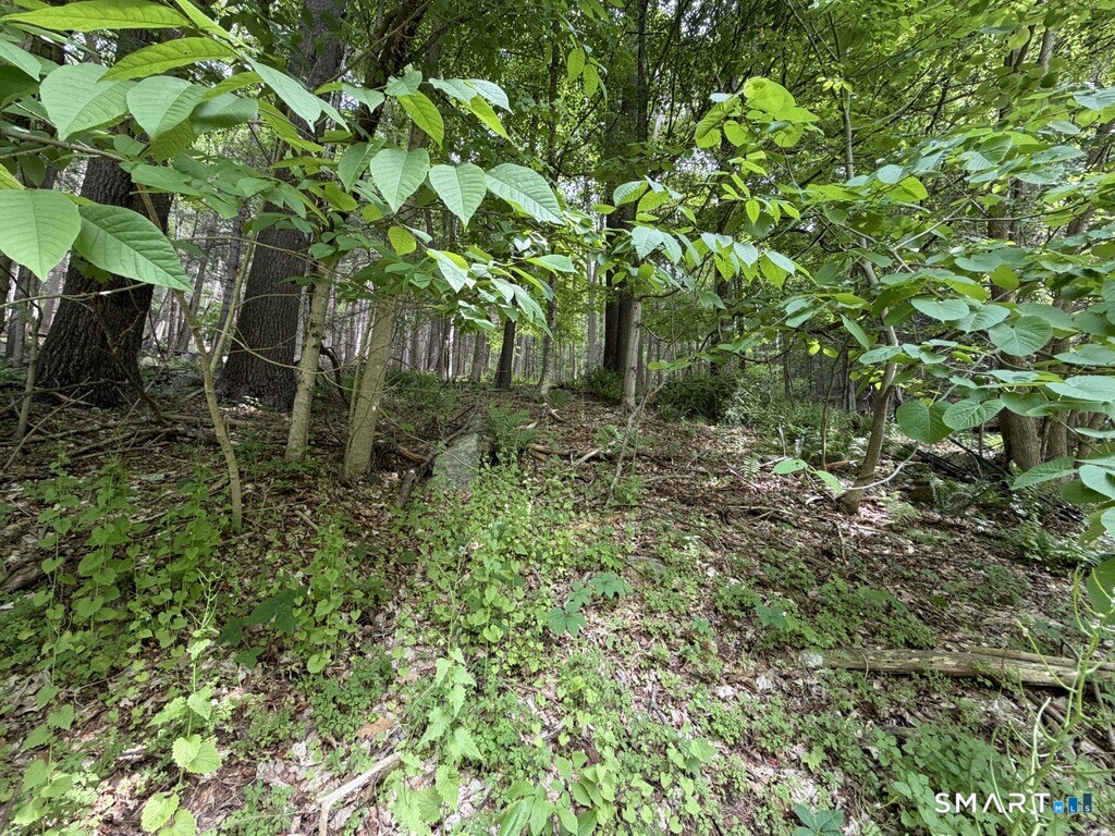 48 Lower River Road Cornwall CT 06796