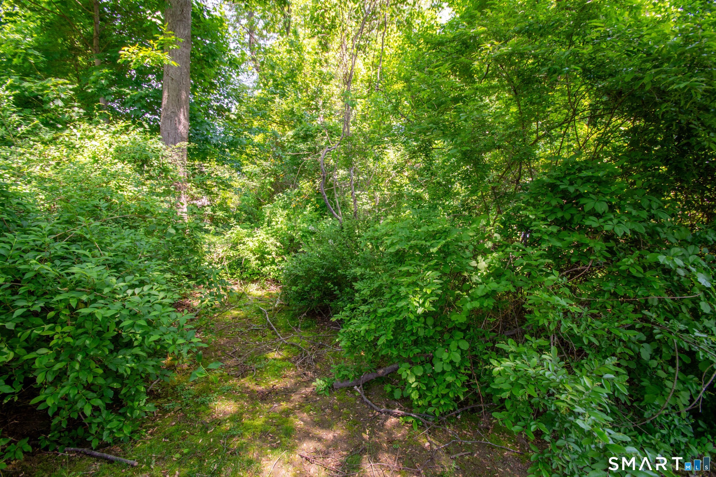 92 Evelyn Street Trumbull CT 06611