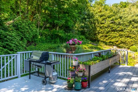 19 Hilldale Road New Fairfield CT 06812
