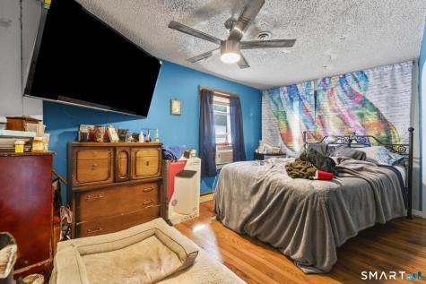 50 Daisy Street New Haven CT 06511