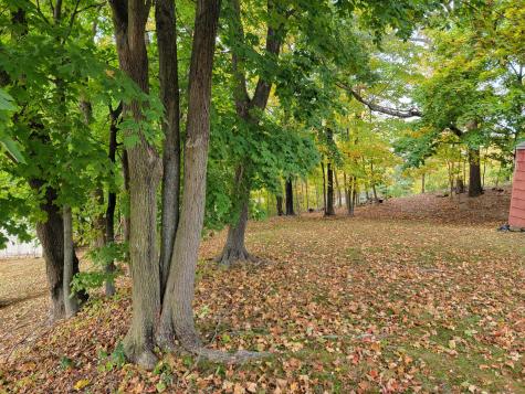 52 Glen Haven Road New Haven CT 06513