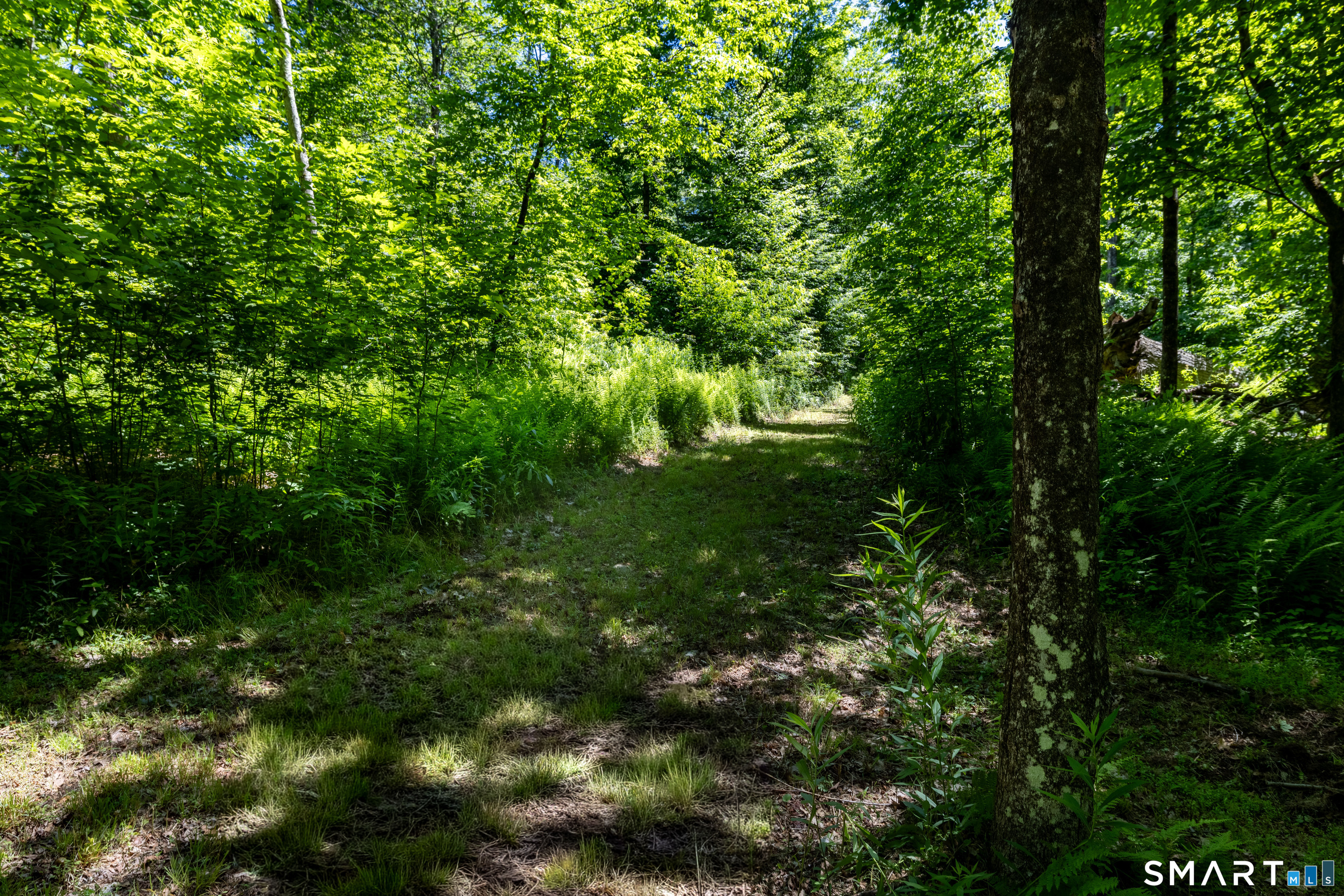 178 Carter Road Kent CT 06754