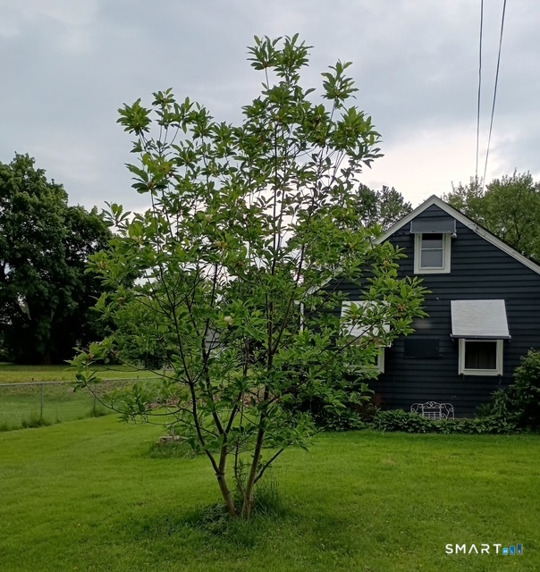 9 Warriner Avenue Enfield CT 06082
