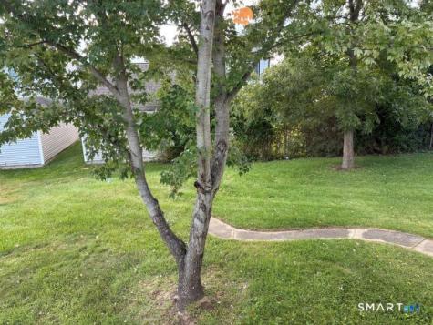 104 Meadow Street Seymour CT 06483