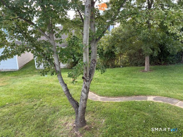 104 Meadow Street Seymour CT 06483